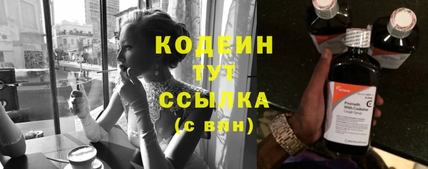 молекула духа Елабуга