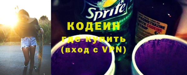 молекула духа Елабуга