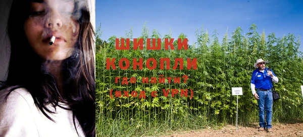 молекула духа Елабуга