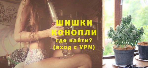 молекула духа Елабуга