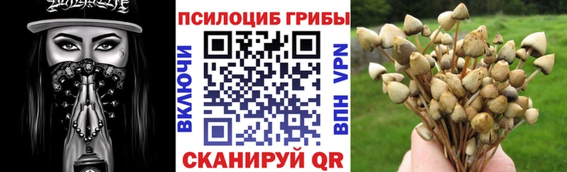 Галлюциногенные грибы мицелий  Любим 