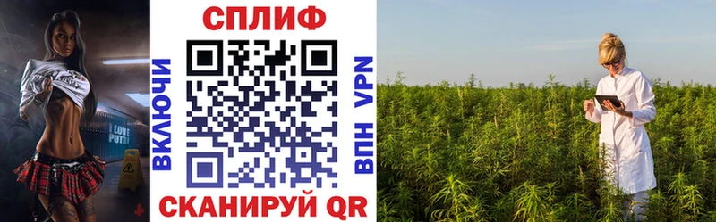 Конопля тримм  как найти наркотики  Любим 